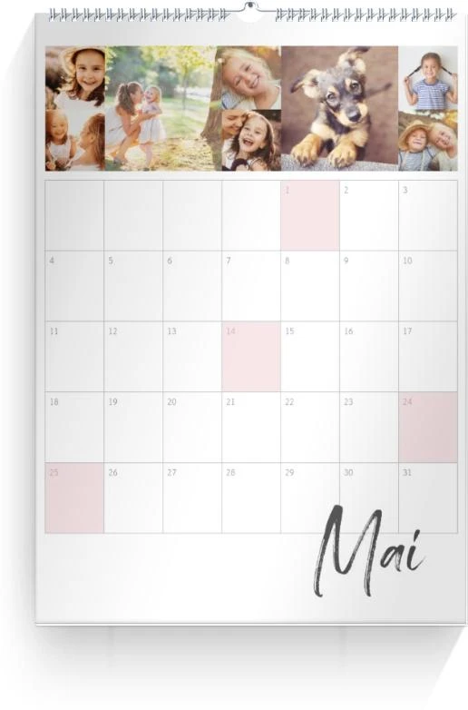 Product preview