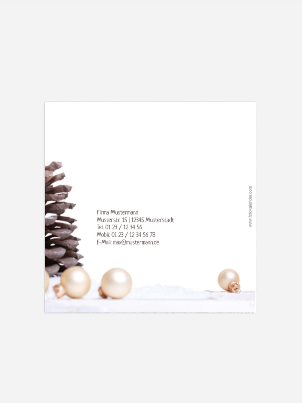Product preview