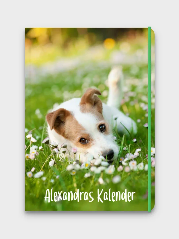 Lehrerkalender Softcover