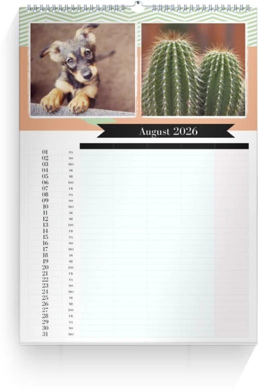 Product preview