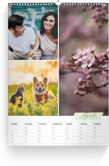 Product preview