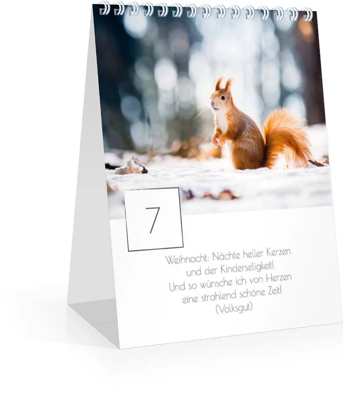 Product preview