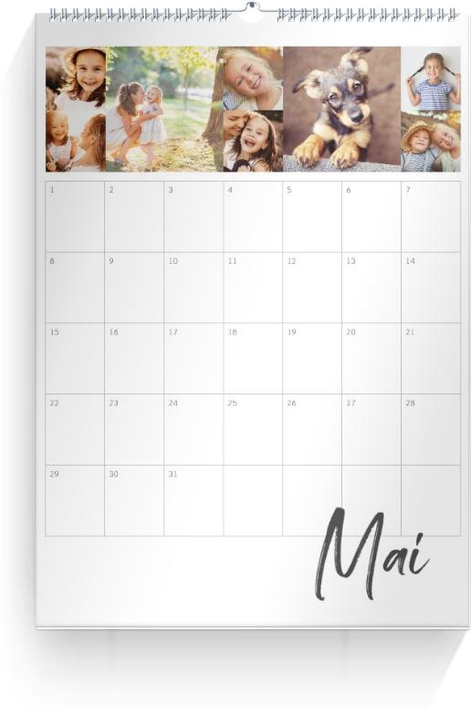 Product preview
