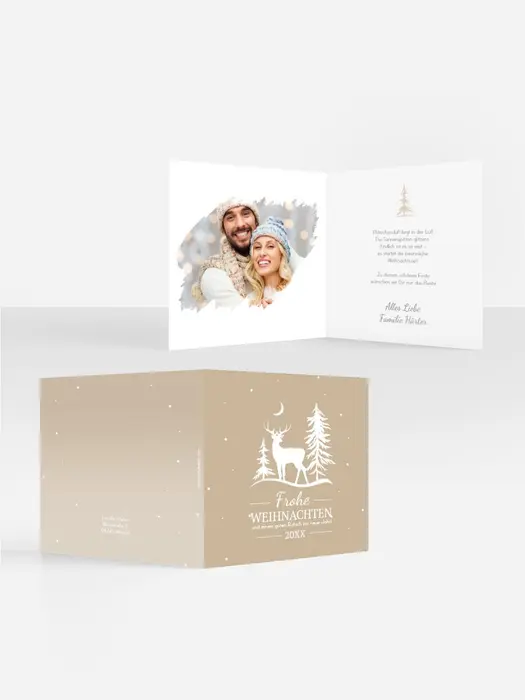 Product preview