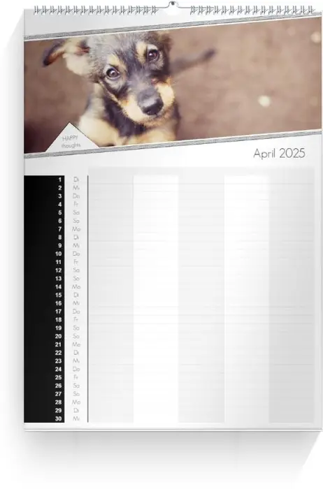 Product preview