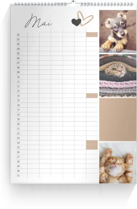 Product preview