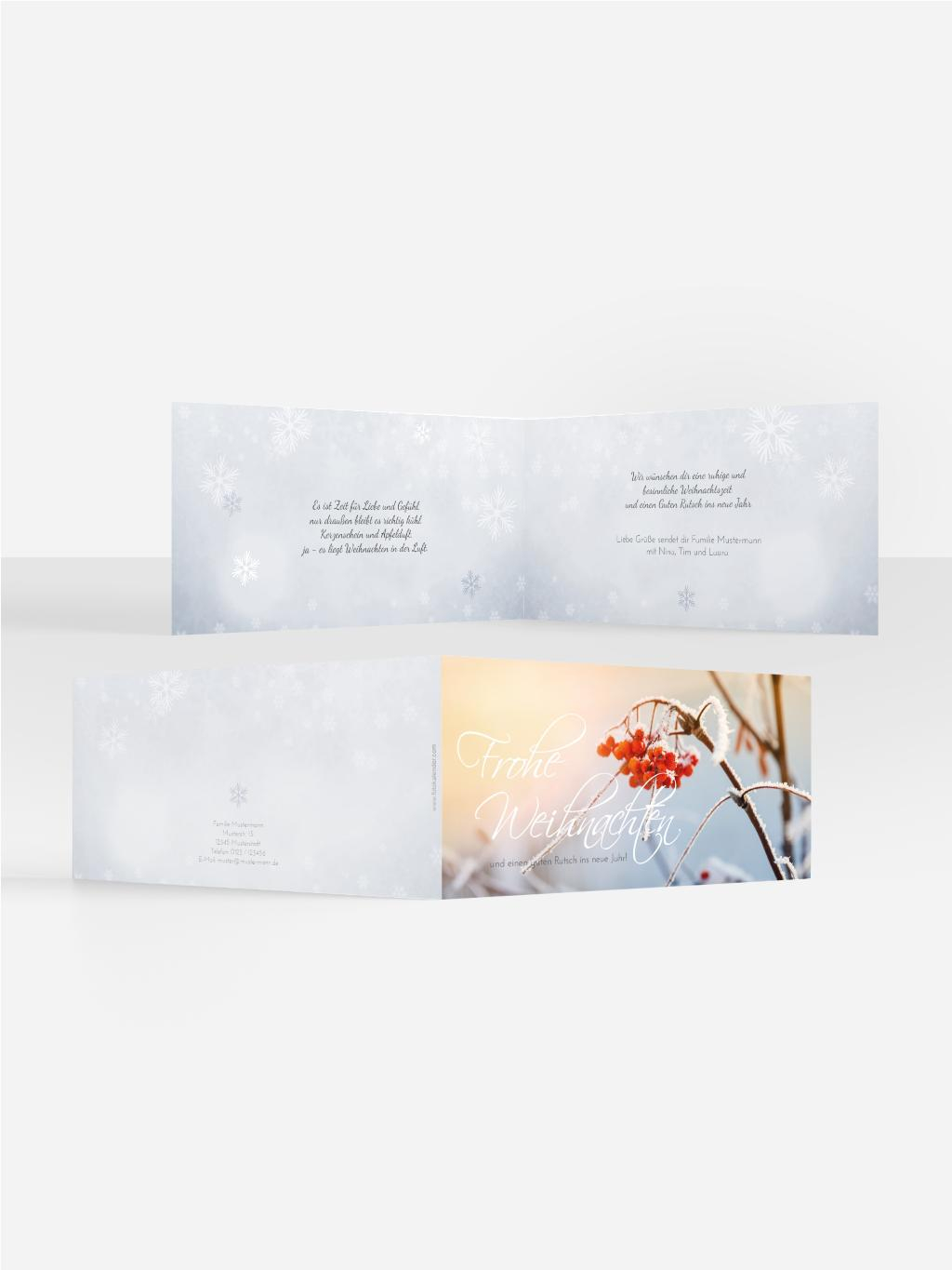 Product preview