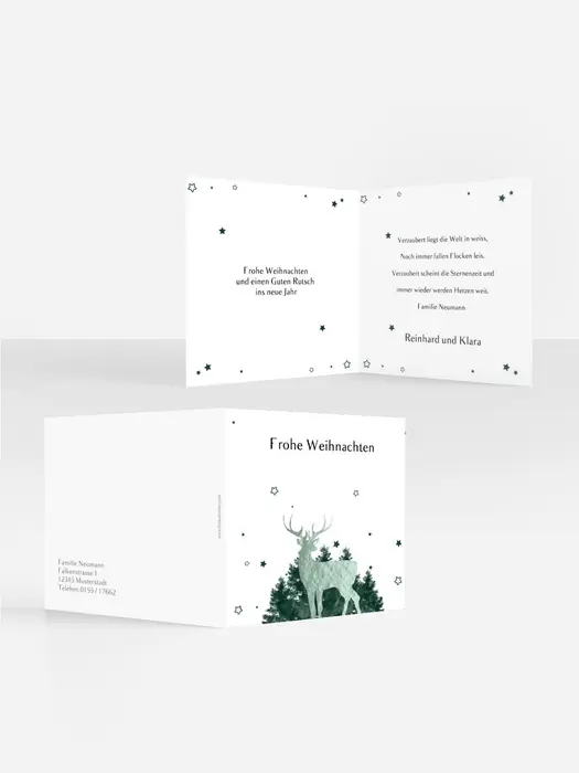 Product preview