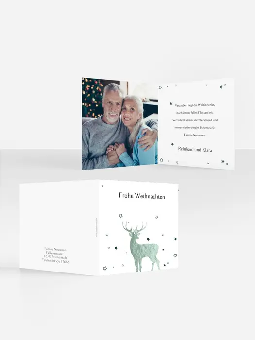 Product preview