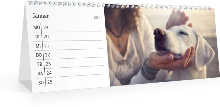 Product preview