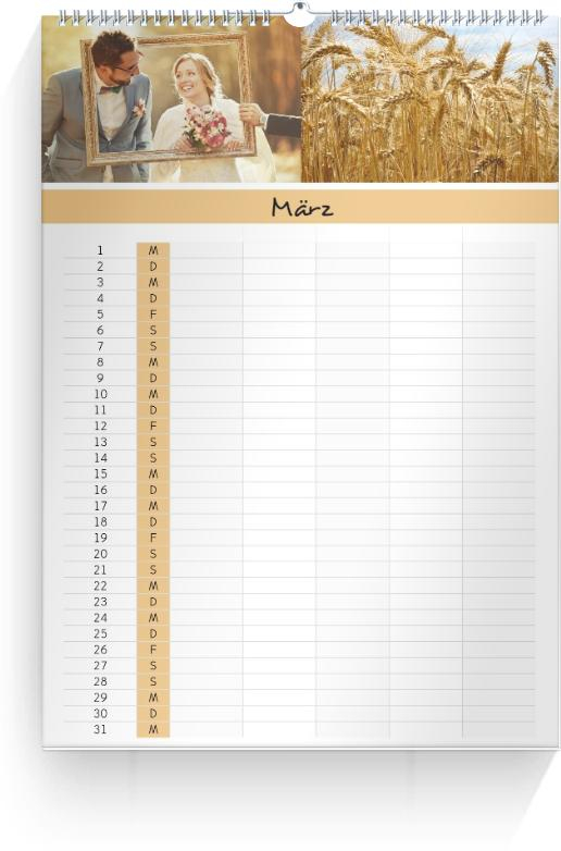 Product preview