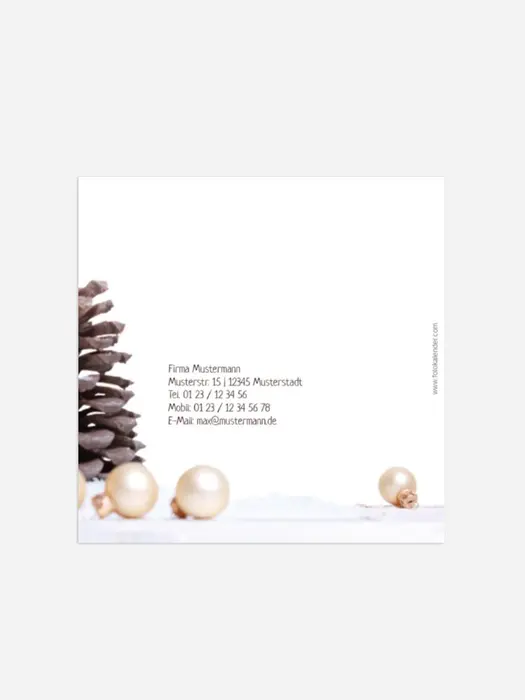Product preview