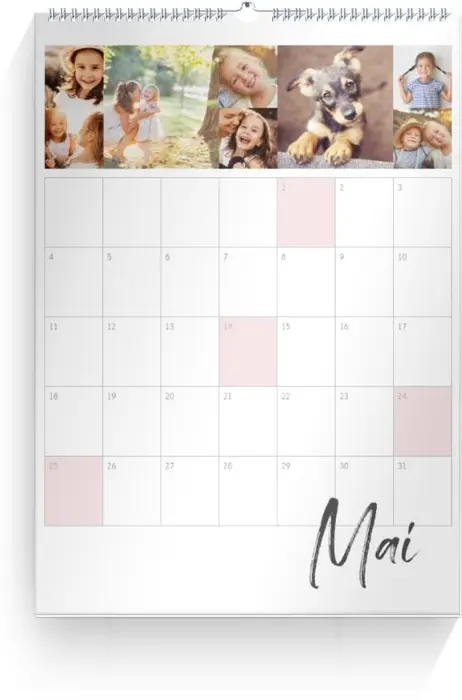 Product preview