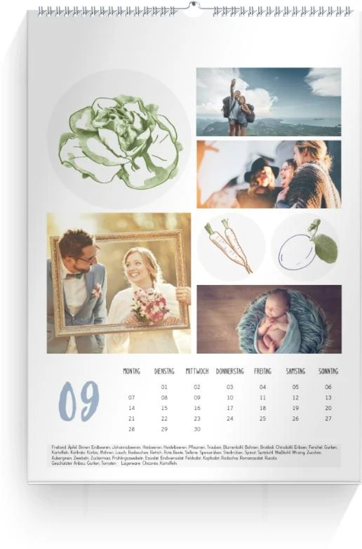 Product preview