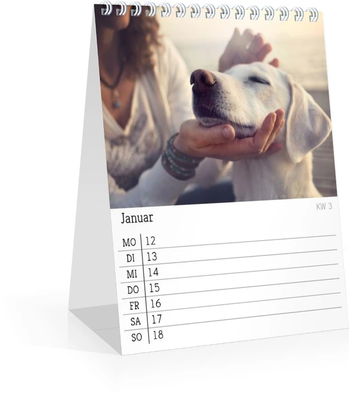 Product preview