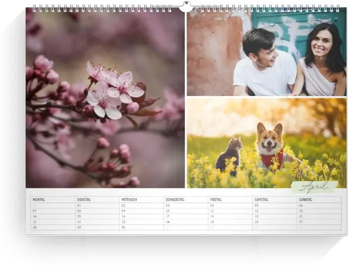 Product preview