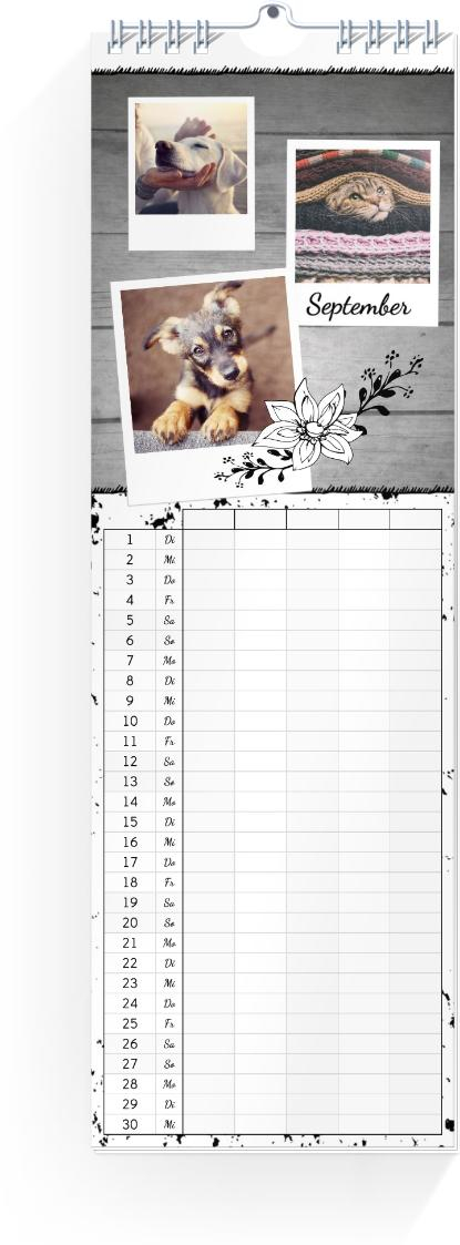 Product preview